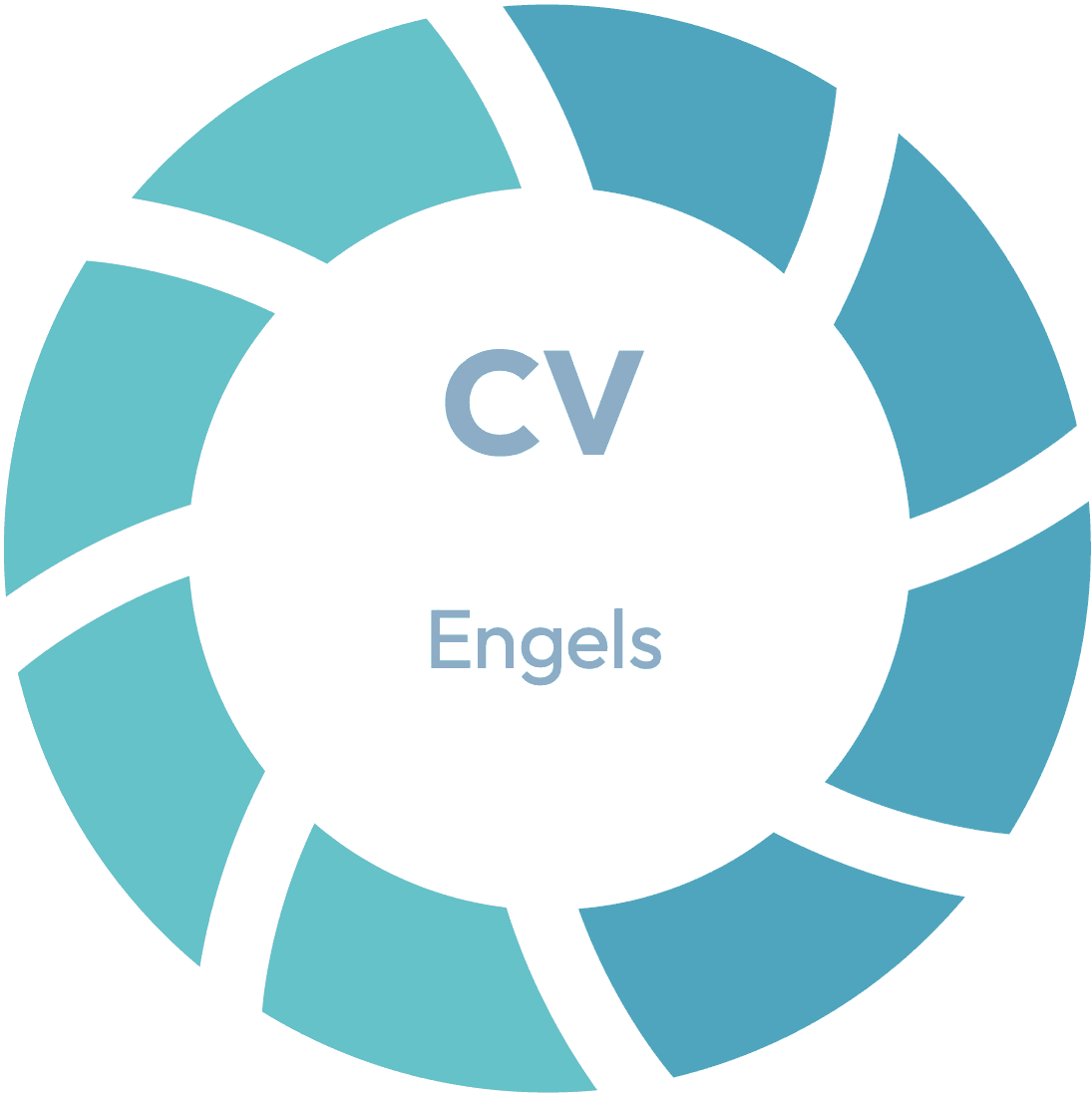 CV Kris Rayen — Engels