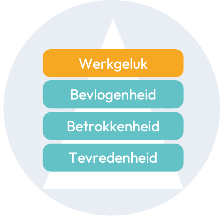 Werkgeluk