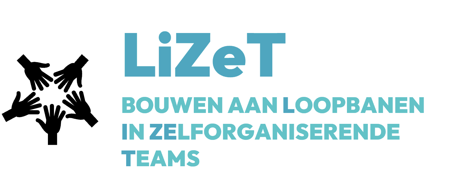 LiZeT: Team passport