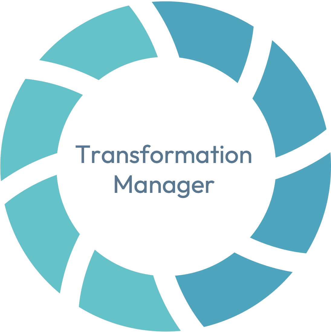 Kris Rayen, transformatiemanager